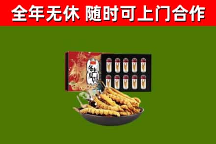佳木斯市回收冬虫夏草价格