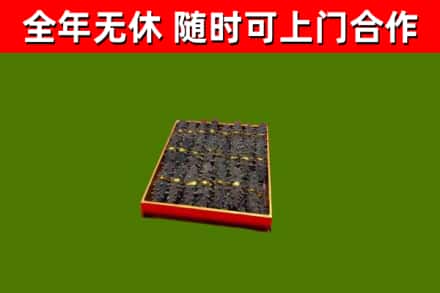 佳木斯市回收海参